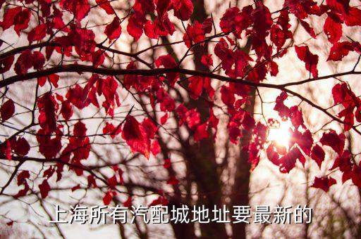 上海羅店立峰汽配地址，有沒有知道羅店在哪里的...